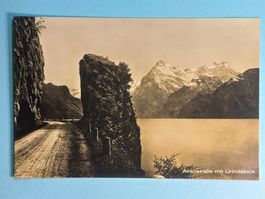 Axenstrasse mit Urirotstock
