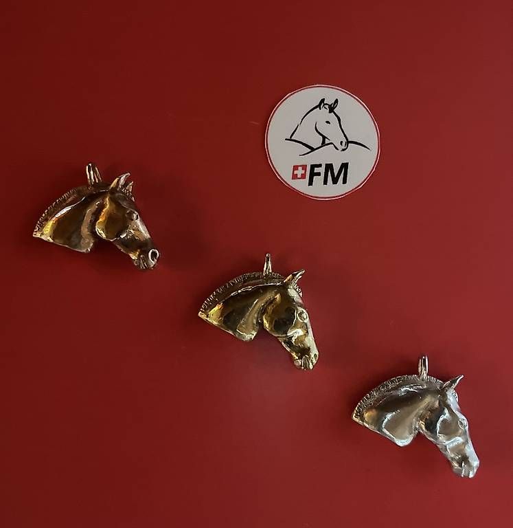 Autres bijoux: Freiberger Pferdeköpfchen in Messing, Bronze oder Silber  – D'occasion à Leysin par ulr_bj8s 1