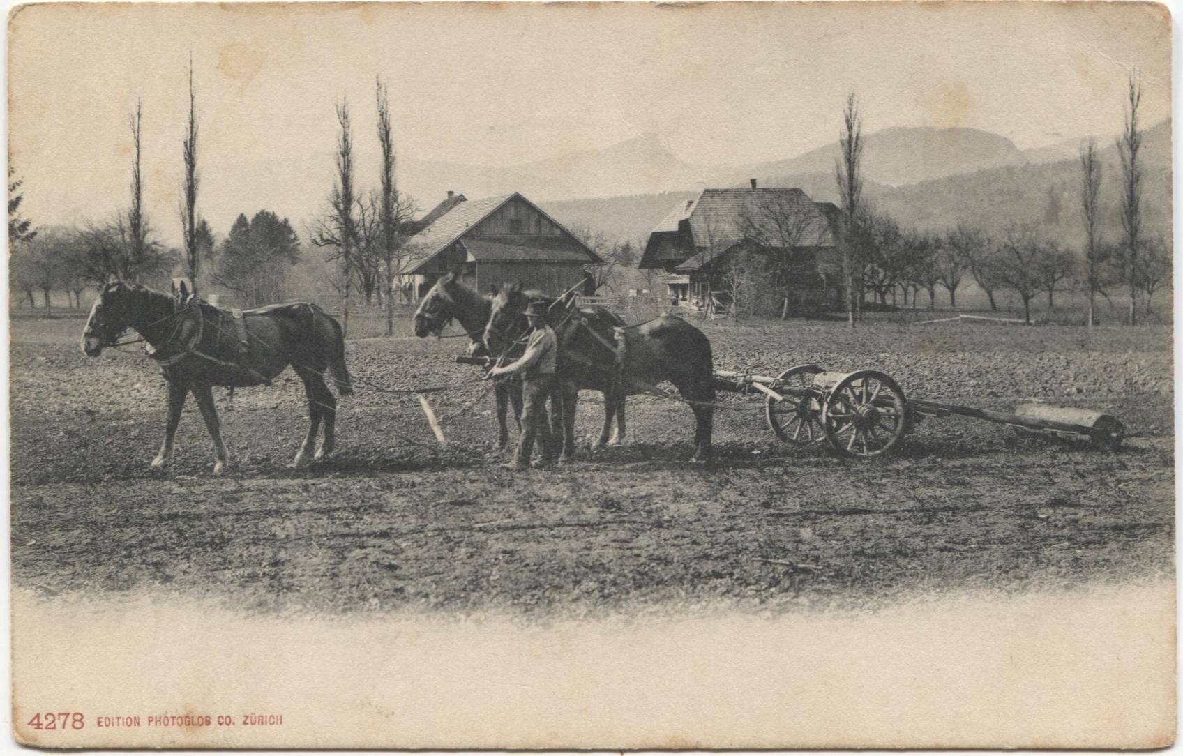 Cartoline postali: Landwirtschaft/Ackerbau 1900 Bern oder Solothurn – Usato da Rothrist venduto da Clanx