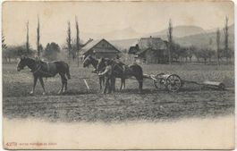 Landwirtschaft/Ackerbau 1900 ROHR AG Schachenhof