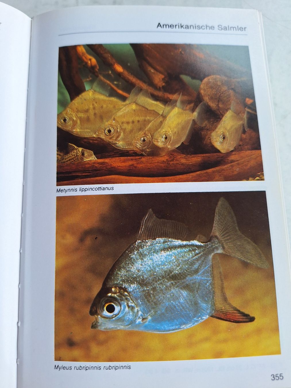 Bücher: AQUARIENATLAS MIT 950 SEITEN – Gebraucht aus Huttwil von Kunterbuntli 6