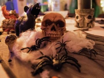 Piante e fiori finti: Halloween Spinnennetz weiß 50g – Nuovo e nell'imballaggio originale da Däniken SO venduto da Profog1 3