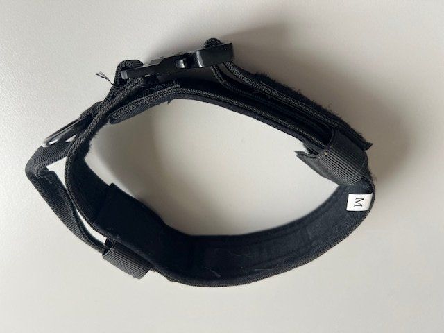 Guinzagli & Collari: Hundehalsband neu aus Nylon – Nuovo (secondo la descrizione) da Winterthur venduto da la_panna 1