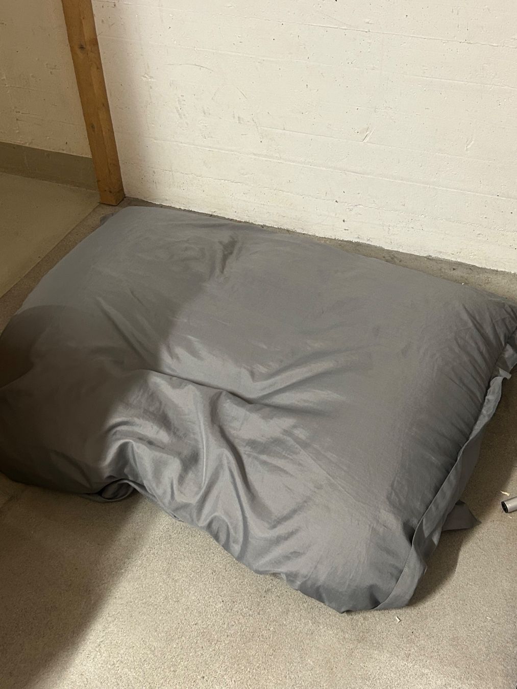 Poltrone: Sitzsack grau gross – Usato da Zürich venduto da ale_lm9g