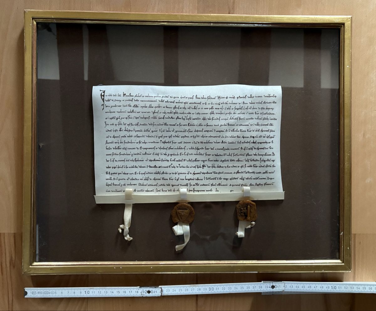Foto & Immagini: Bundesbrief Reblika – Usato da Winterthur venduto da Silimann