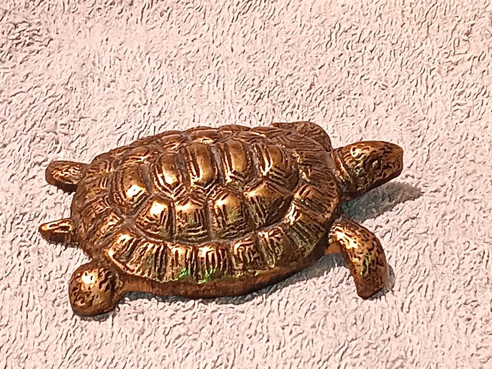 Tutte le decorazioni: Herzige Messingschildkroete – Usato da Zürich venduto da Mitzi6 1