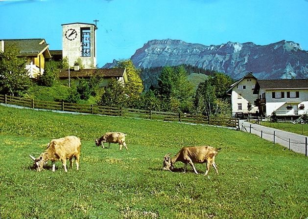 Ansichtskarten: FINSTERWALD ob Entlebuch mit Riseten - Ziegen – Gebraucht aus Jona von philajona