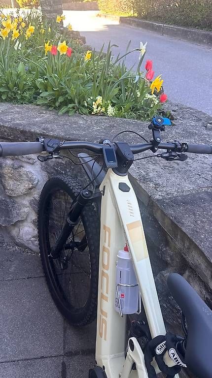 Focus Biciclette: E bike Focus Thron 2 6.8 – Usato da Erlenbach i. S. venduto da and_ch55 1