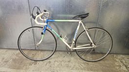 Verago Rennvelo