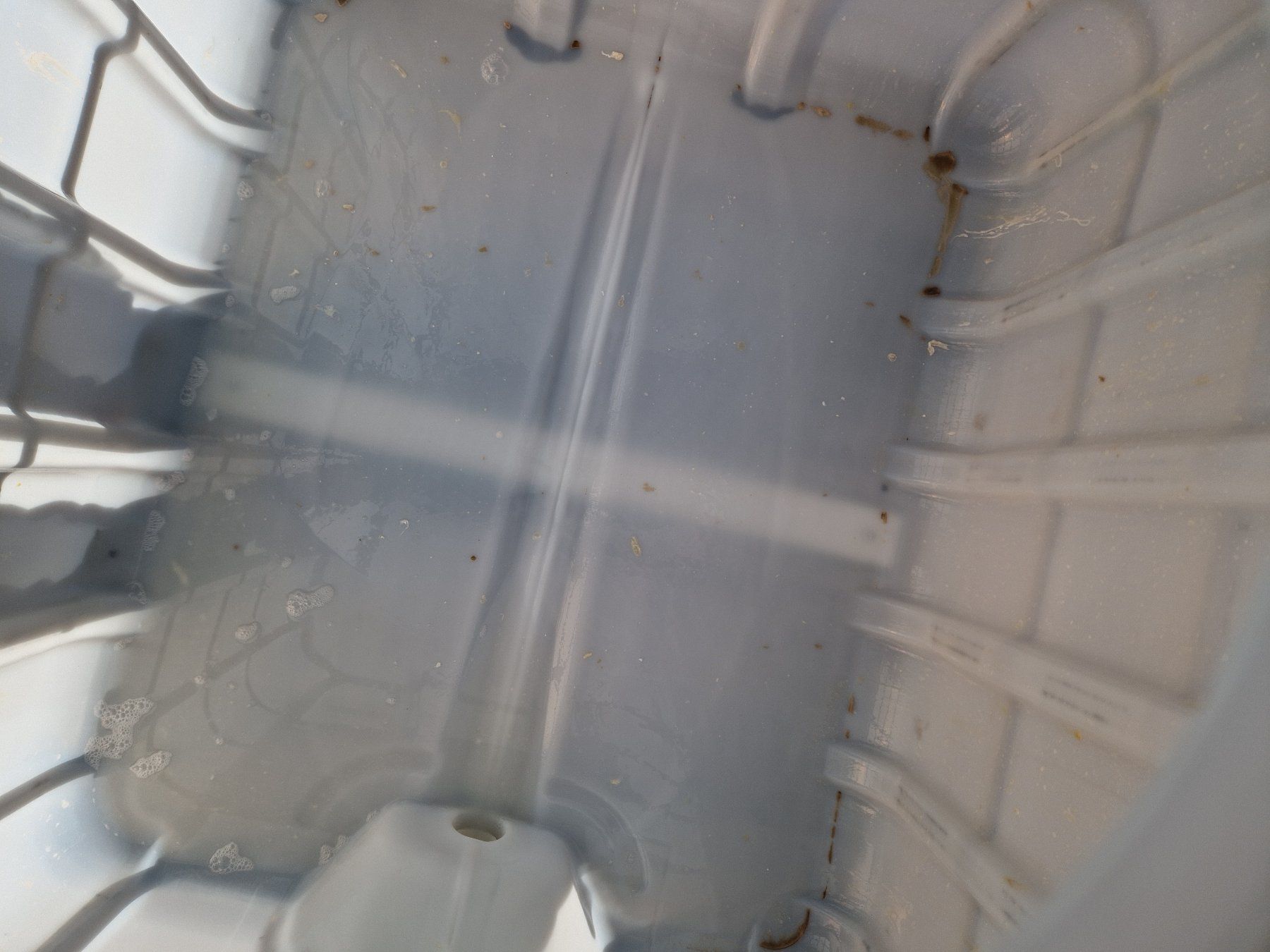 Abbeveratoi e trogoli: IBC Tank 1000Liter – Usato da Gampelen venduto da Schmidi887 3