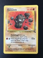 Kleinstein Fossil Set 47/62