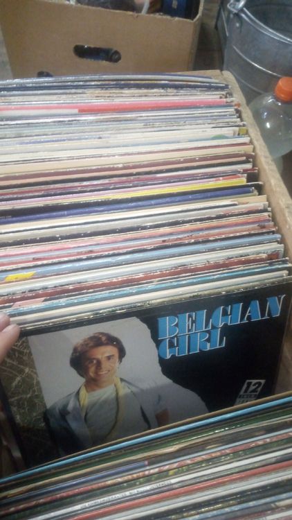 Schallplatten: 🎶 Schallplatten Sammlung - Vinyl Raritäten Entdecken! 🎶 – Gebraucht aus Belp von Guadalupe84 1