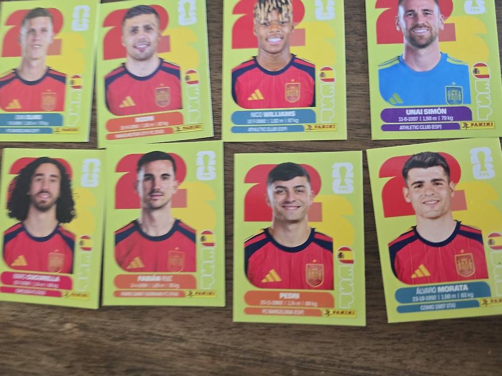 Cartes à collectionner: NEU panini Karten  – D'occasion à Moosseedorf par mag_k9m5