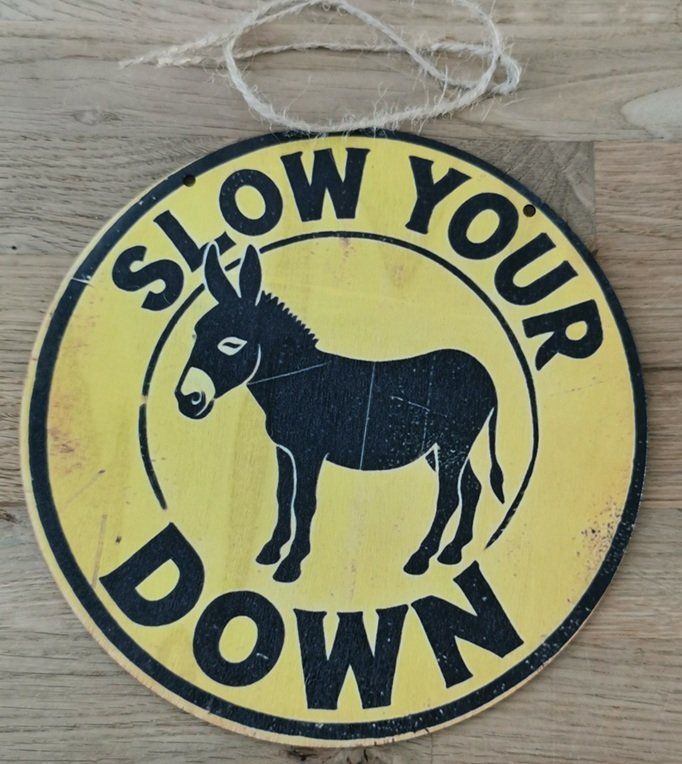 Schilder: SLOW DOWN - Holzschild  (neu/OVP) – Neu und originalverpackt aus Wilen b. Wollerau von morethanmusic 1