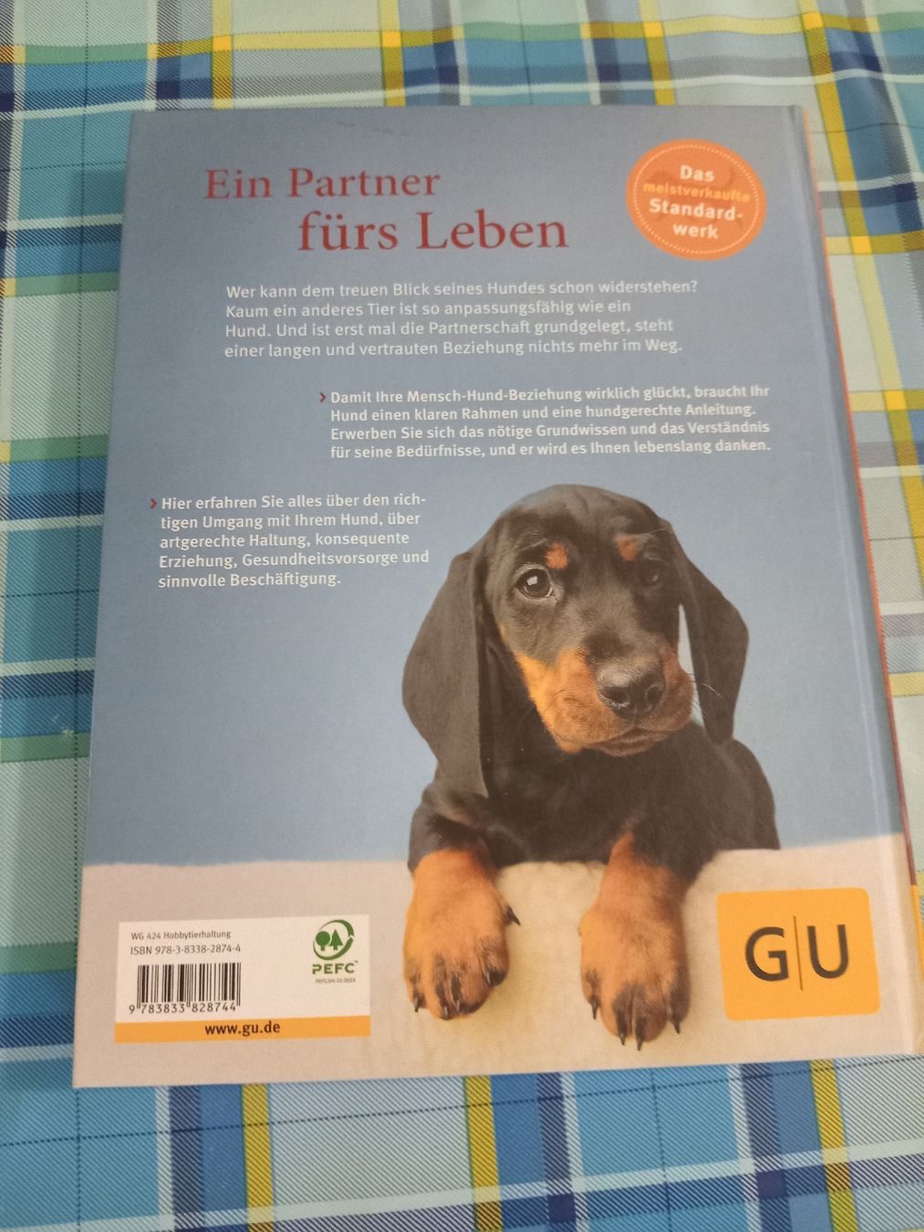 Livres: Buch Hunde Das grosse Praxishandbuch – Neuf (Voir description) à Obergösgen par typ_qb9v 1