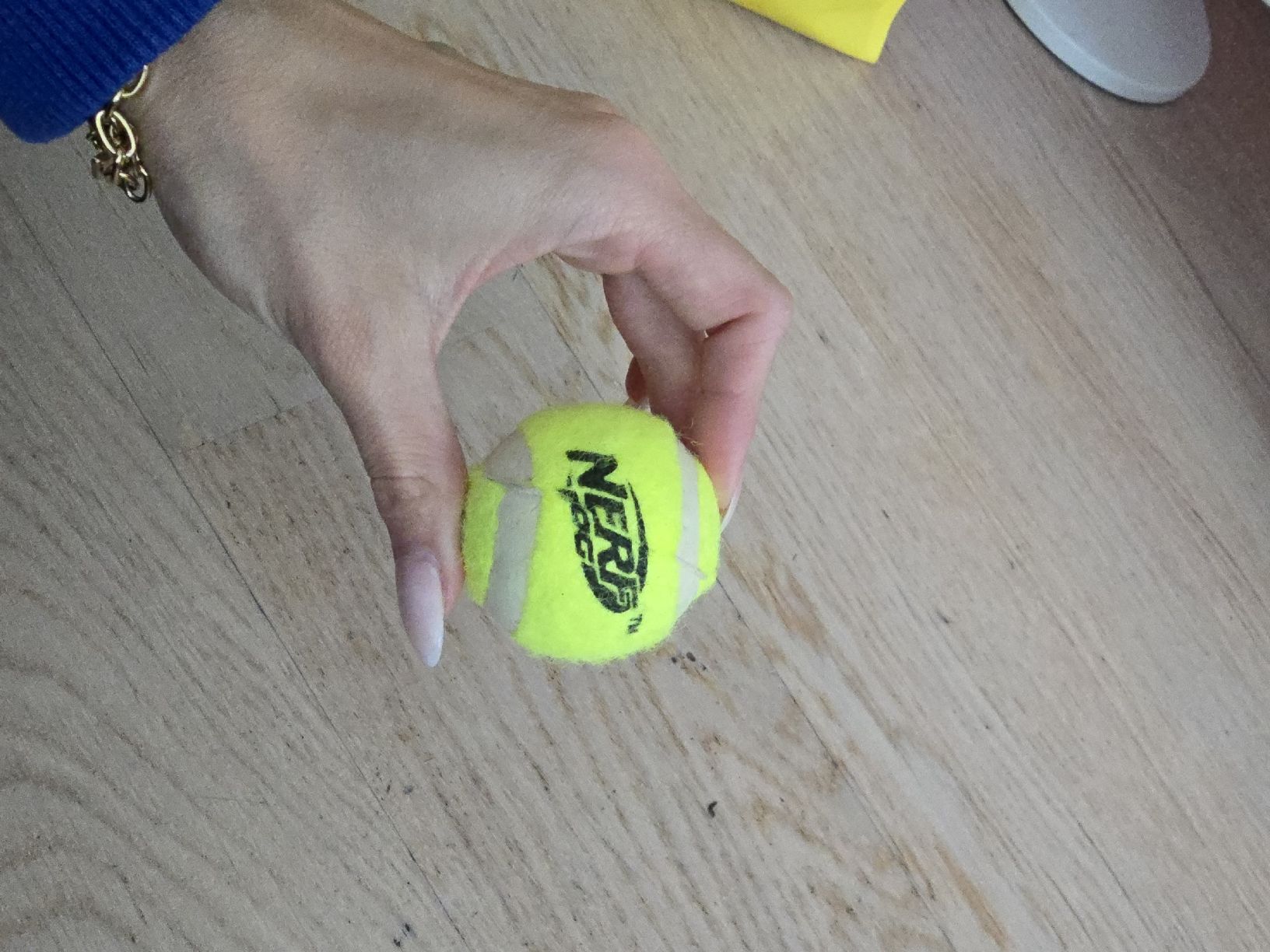 Spielzeuge: Hunde Spielball – Neu und originalverpackt aus Rickenbach b. Wil von Kth_v8 1