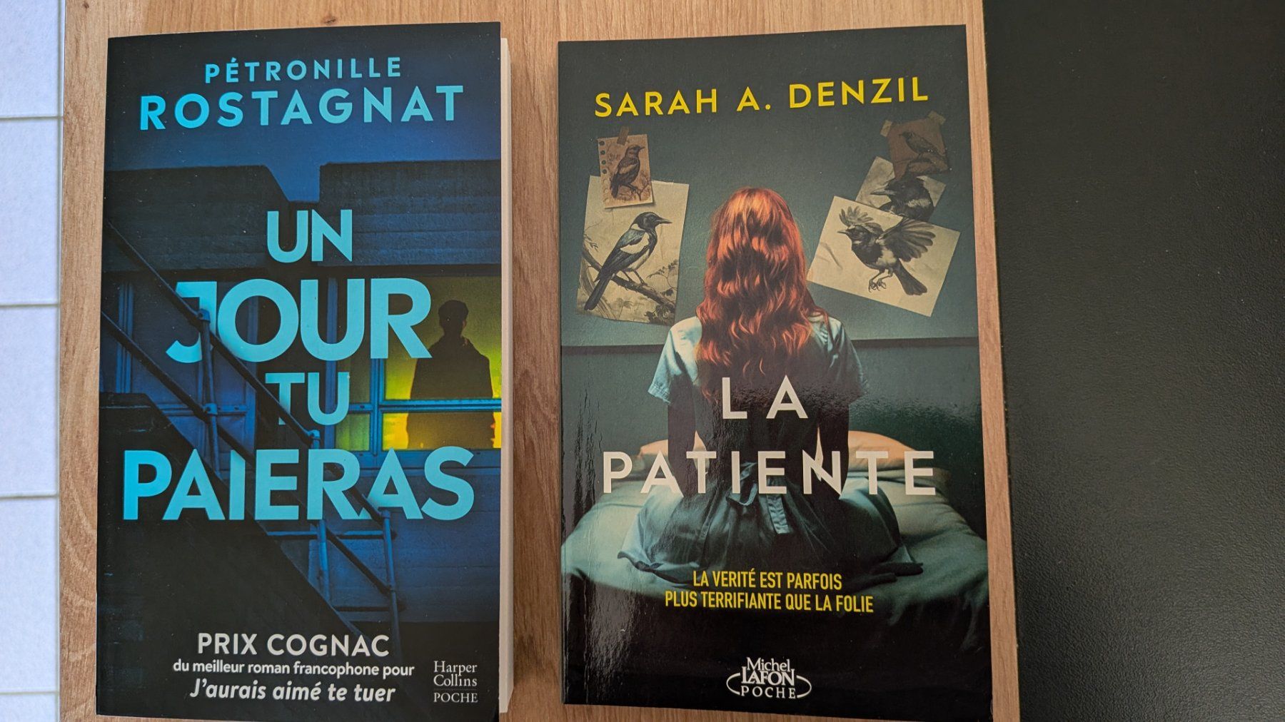 Libri: -2- romans policiers / thrillers – Usato da Villariaz venduto da Mariejoconde