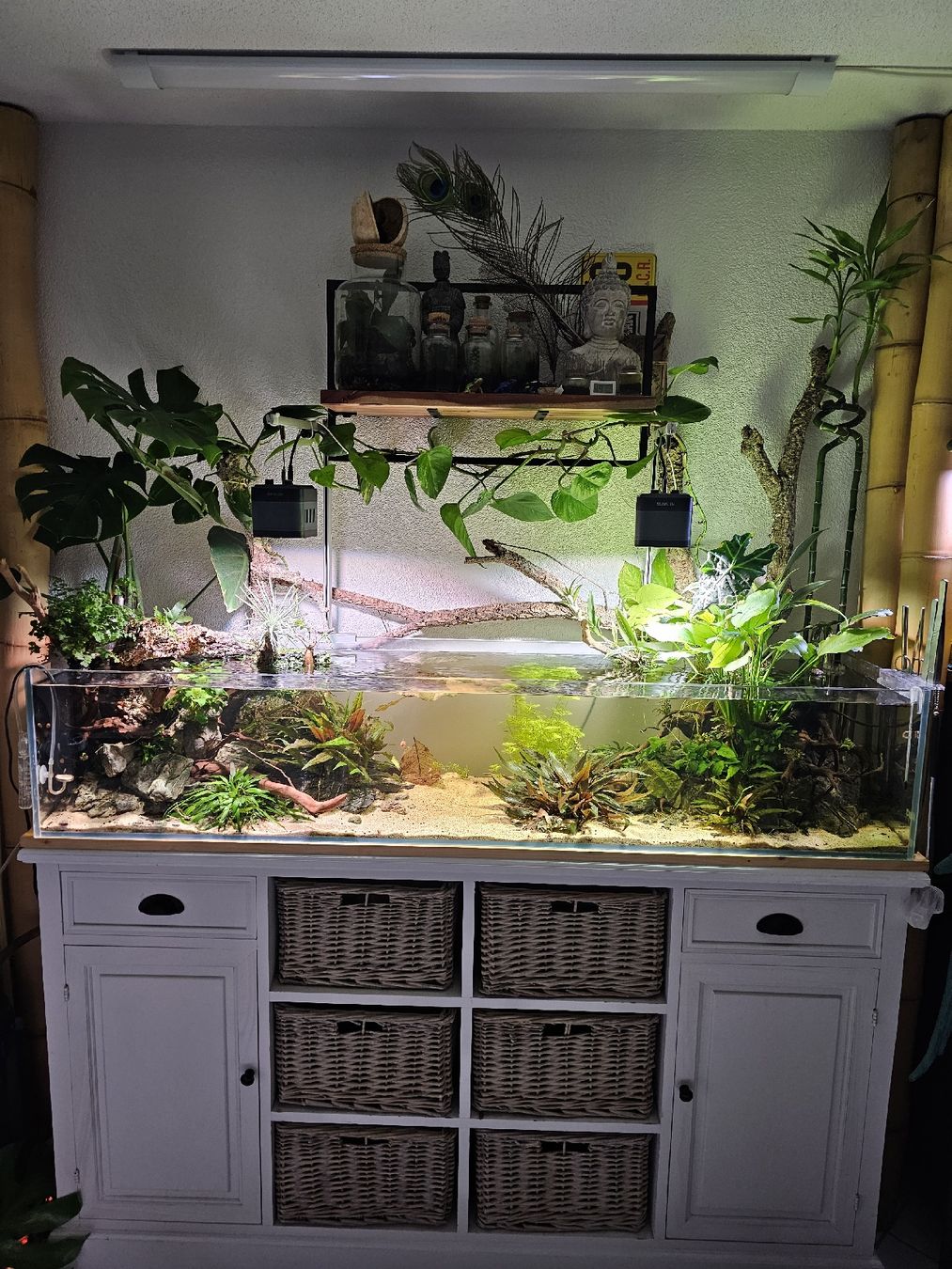 Aquarium: Aquascaping Shallow Poolaquarium – Gebraucht aus Obergerlafingen von Deluxepoint 1