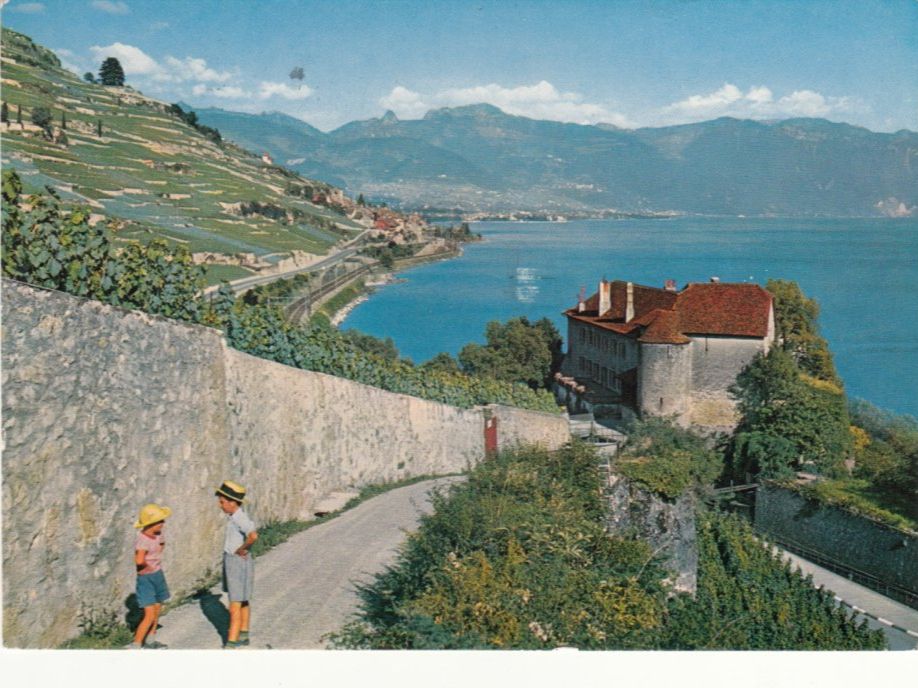 Ansichtskarten: Lavaux 1971 – Gebraucht aus Bürglen TG von StampGraf