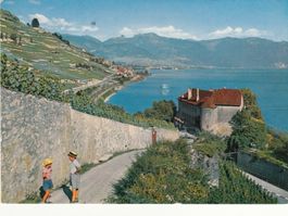 Lavaux 1971
