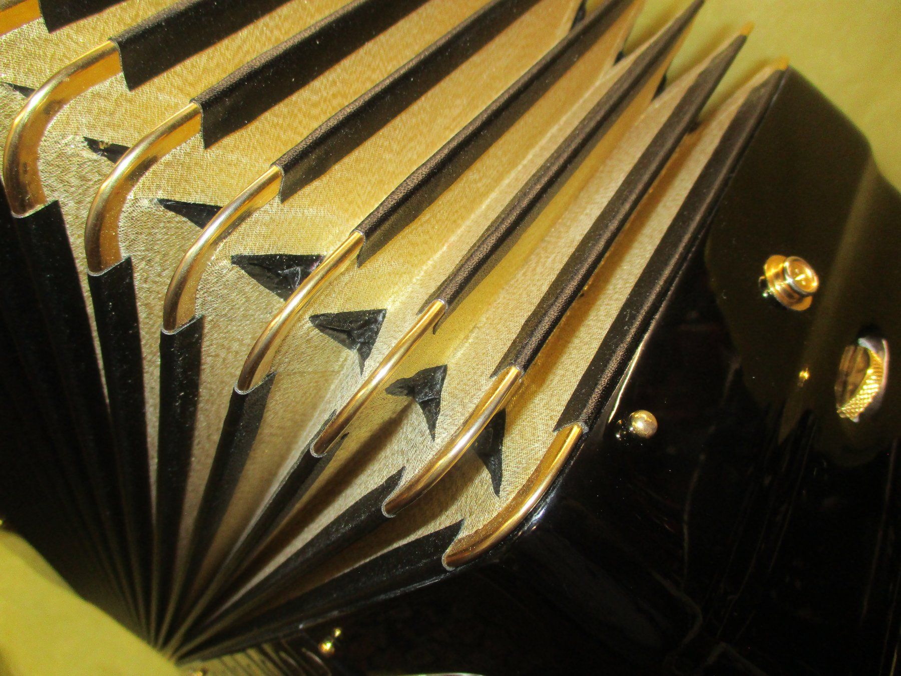 Musikinstrumente: Akkordeon Bugari Gold plus – Gebraucht aus Jegenstorf von Oktavio 8