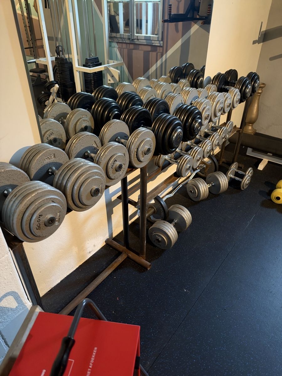 Hometrainer: Home Gym – Usato da Schüpfheim venduto da Zemper 7