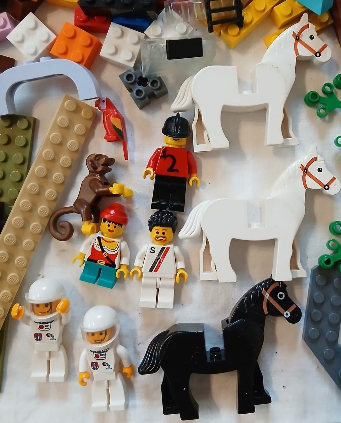 Lego Kit di costruzioni: Kunterbuntes Lego Packet / Set – Usato da Wegenstetten venduto da Aanfr 2