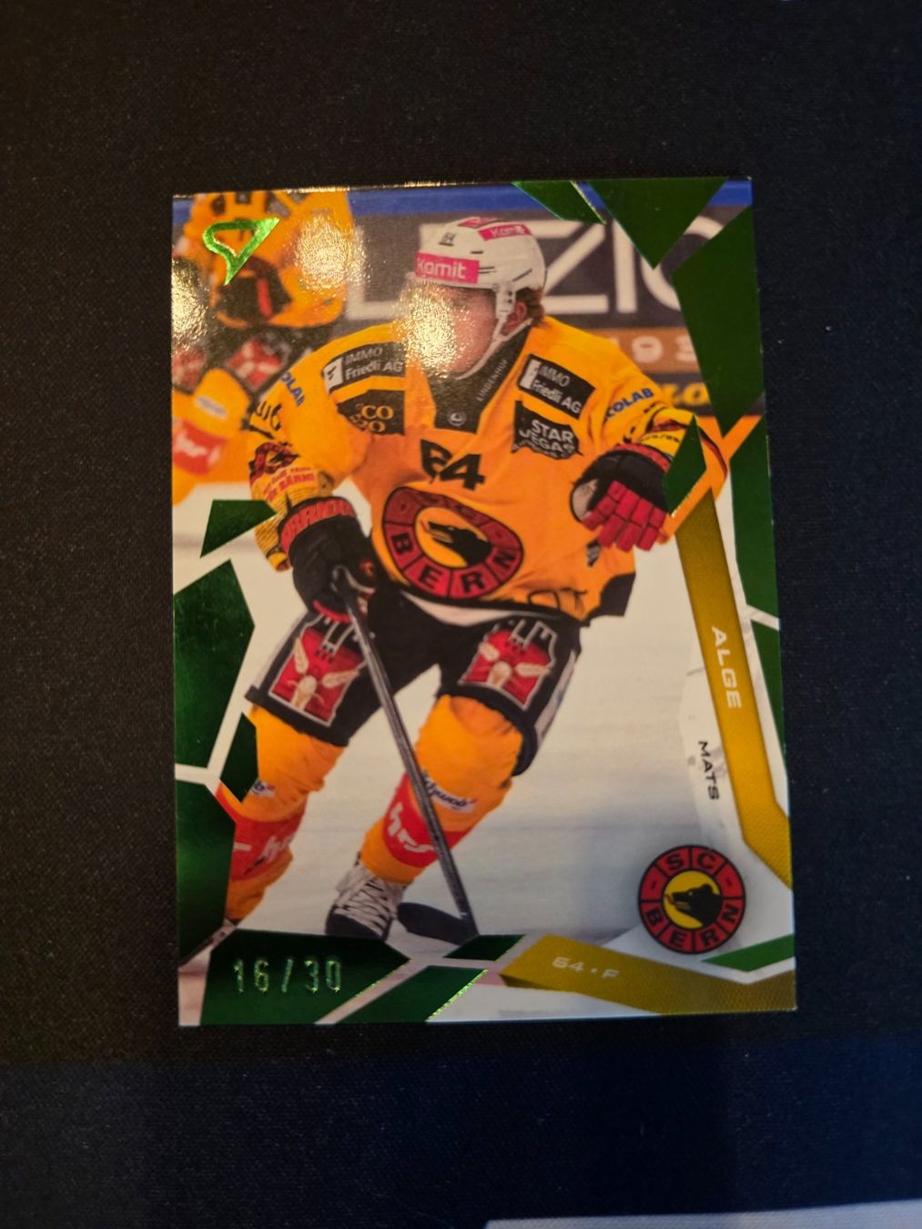 Sportzoo Carte collezionabili: Alge // Base Set // Green 16/30 // SC Bern – Usato da Beringen venduto da Candrox__