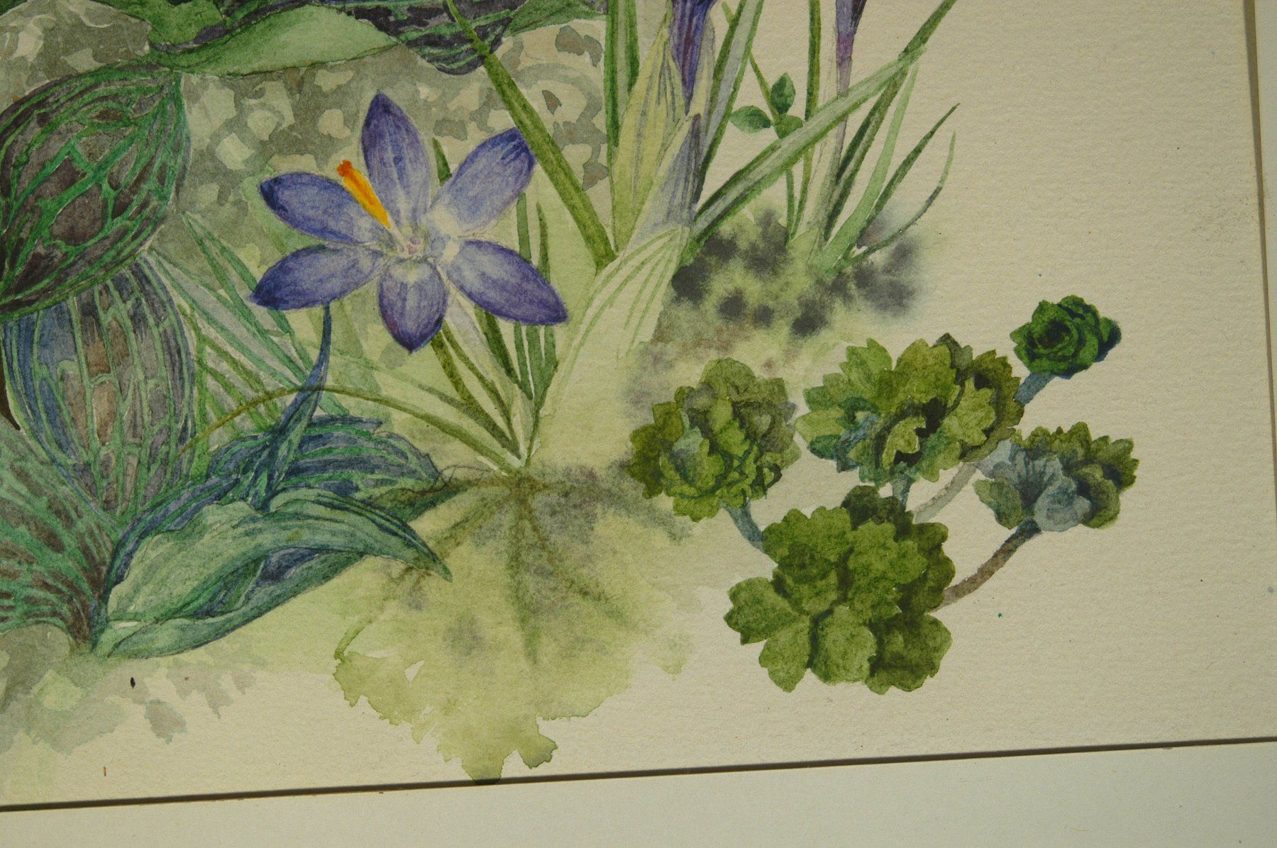 Dipinti: Blumenstilleben Aquarell signiert – Usato da Herisau venduto da Wisen 2