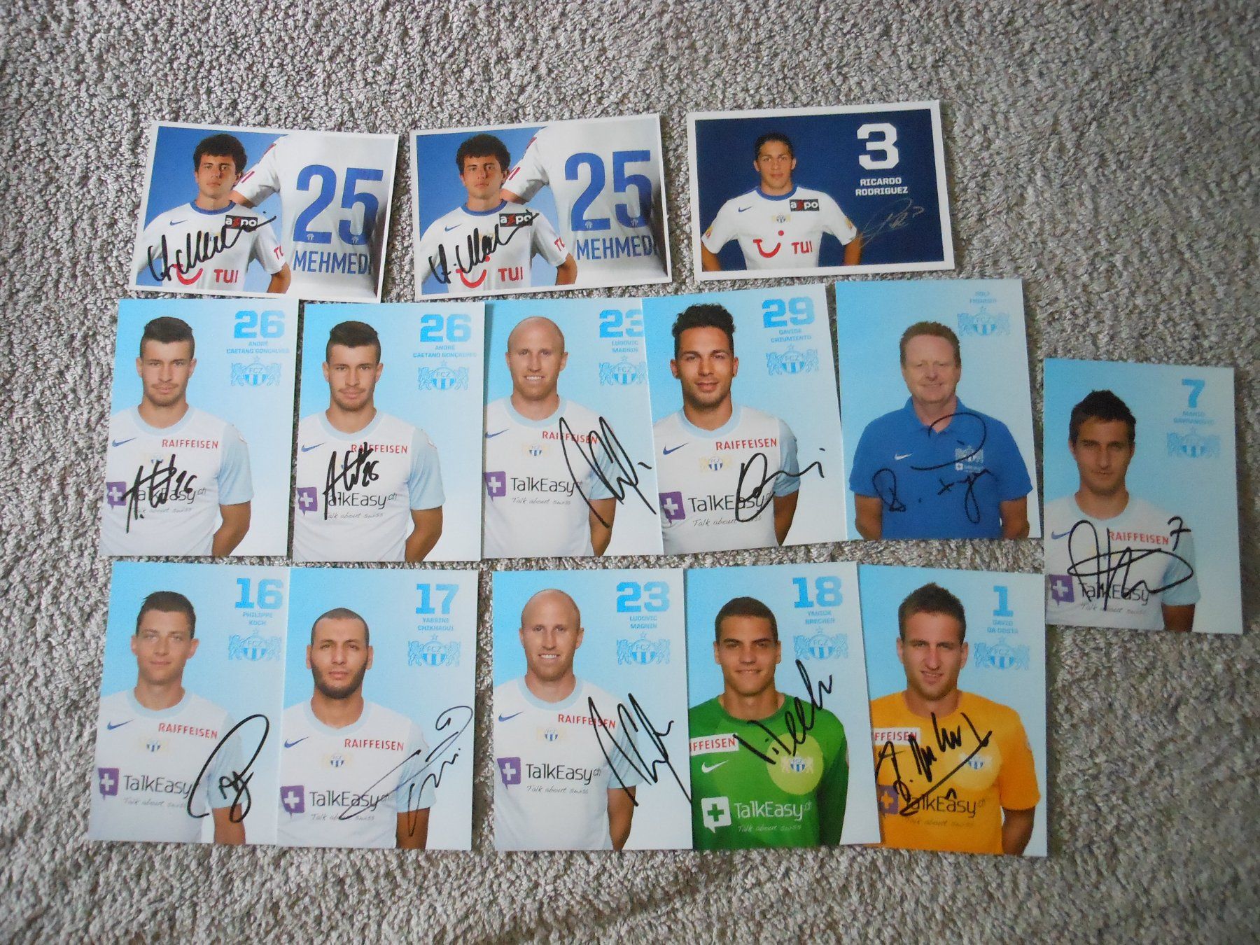 Autografi: FC Zürich Autogramme – Usato da Liebefeld venduto da type013