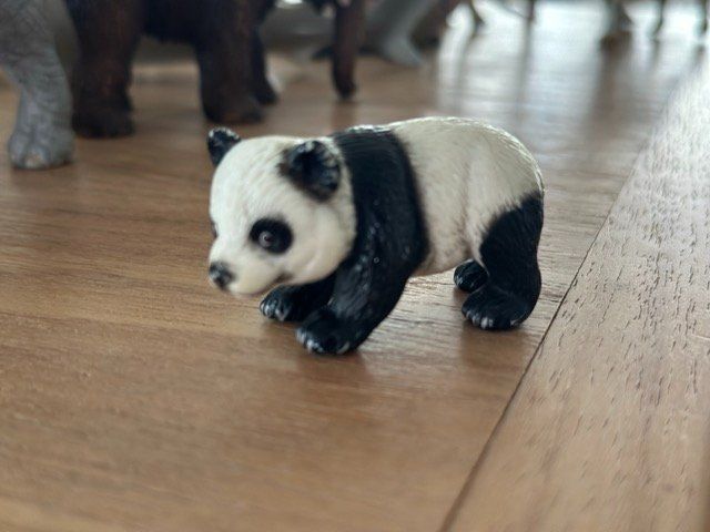 Schleich Figuren: Schleich Panda-Jungtier Sammelfigur – Gebraucht aus Fällanden von SafariSchleichCH