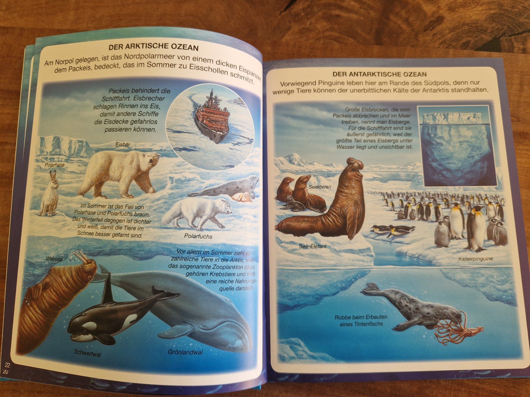 Libri: Buch / Wissensbuch "Das Meer" – Usato da Giswil venduto da movo08 2