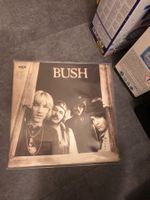 Bush / Bush 1971 kanda blues hard rock