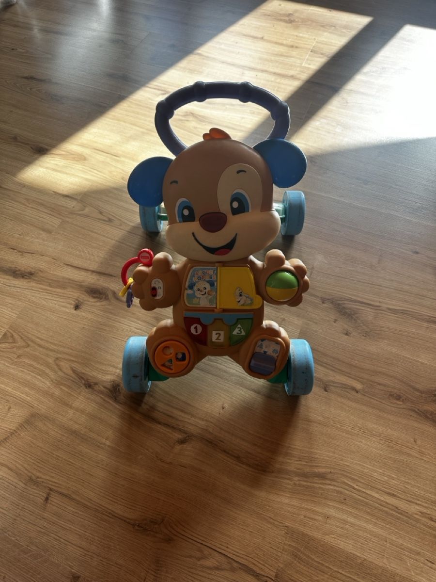 Fisher-Price Veicoli per bambini: Lauflernhilfe – Usato da Schwarzenbach LU venduto da Niinaa__