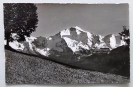 Bei Beatenberg, Jungfrau u. Ebnefluh