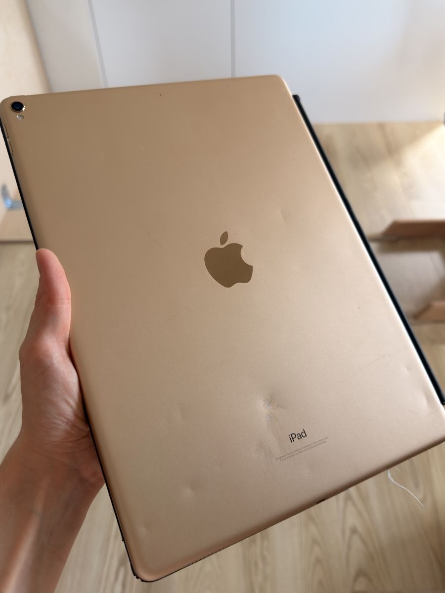 Apple Tablet PC: iPad Pro (12.9-inch) (2nd Generation)  – Usato da Uitikon Waldegg venduto da sdman 7