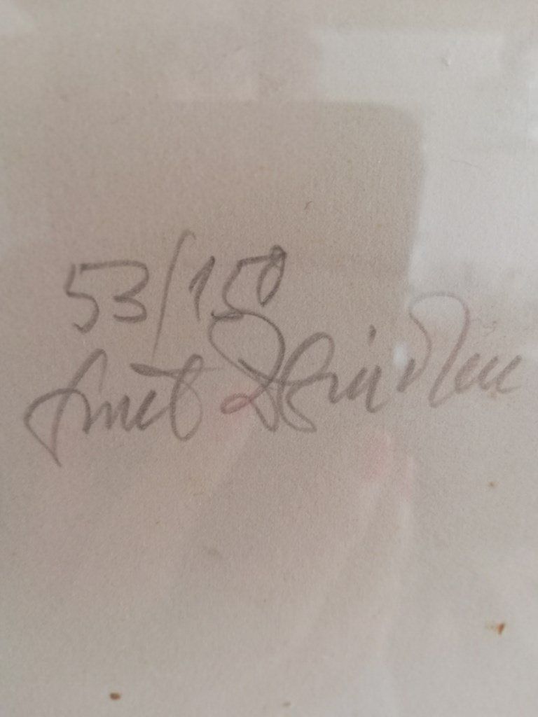 Xilografie: "Adoleszenz" Emil Zbinden – Usato da Uster venduto da walderk 1