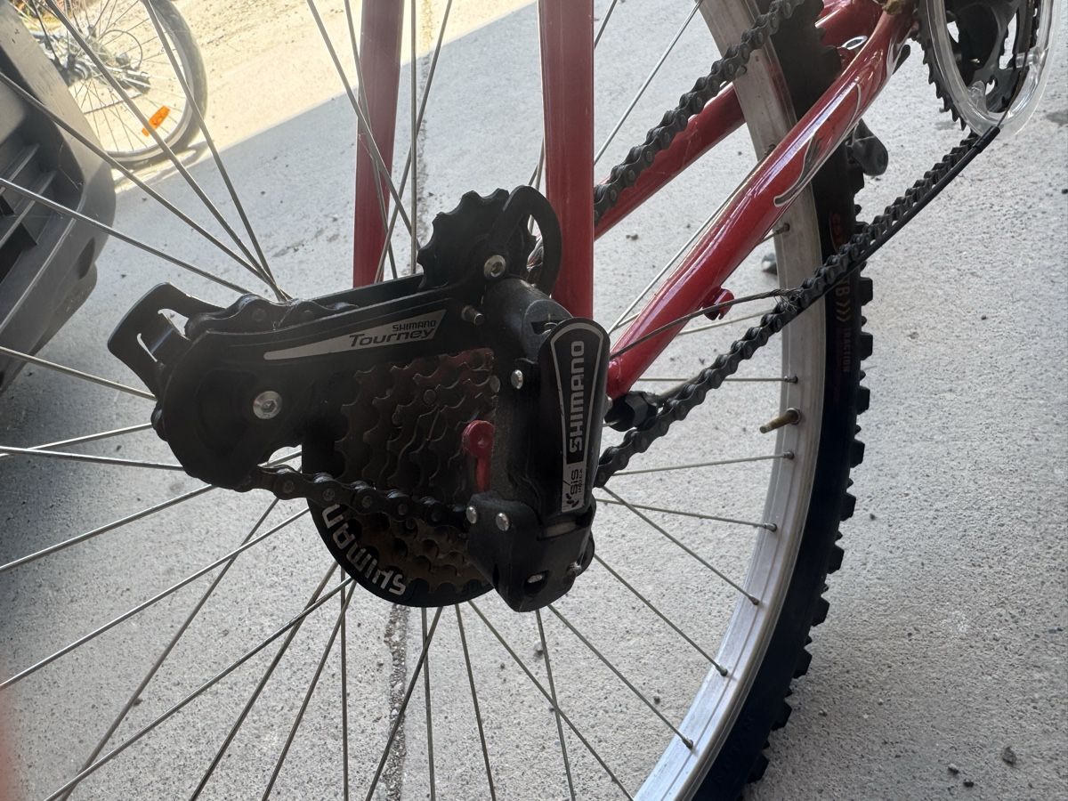 Biciclette: Velo 26 Zoll – Difettoso da Bern venduto da puntoevo13 4