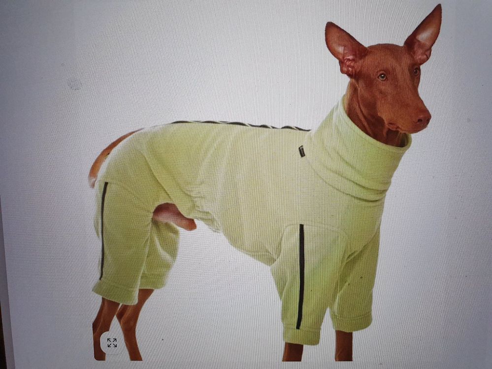 Hundemantel / Windhund Fleece Sofa Dog Wear Joker 02 Gr. M2 Kaufen