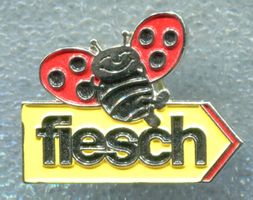 BLICK Wegweiser  fiesch