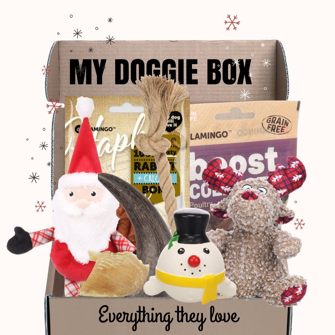 Jouets: Box Jouets Chiens – Neuf avec emballage d'origine à Conches par hel_yyn2 1