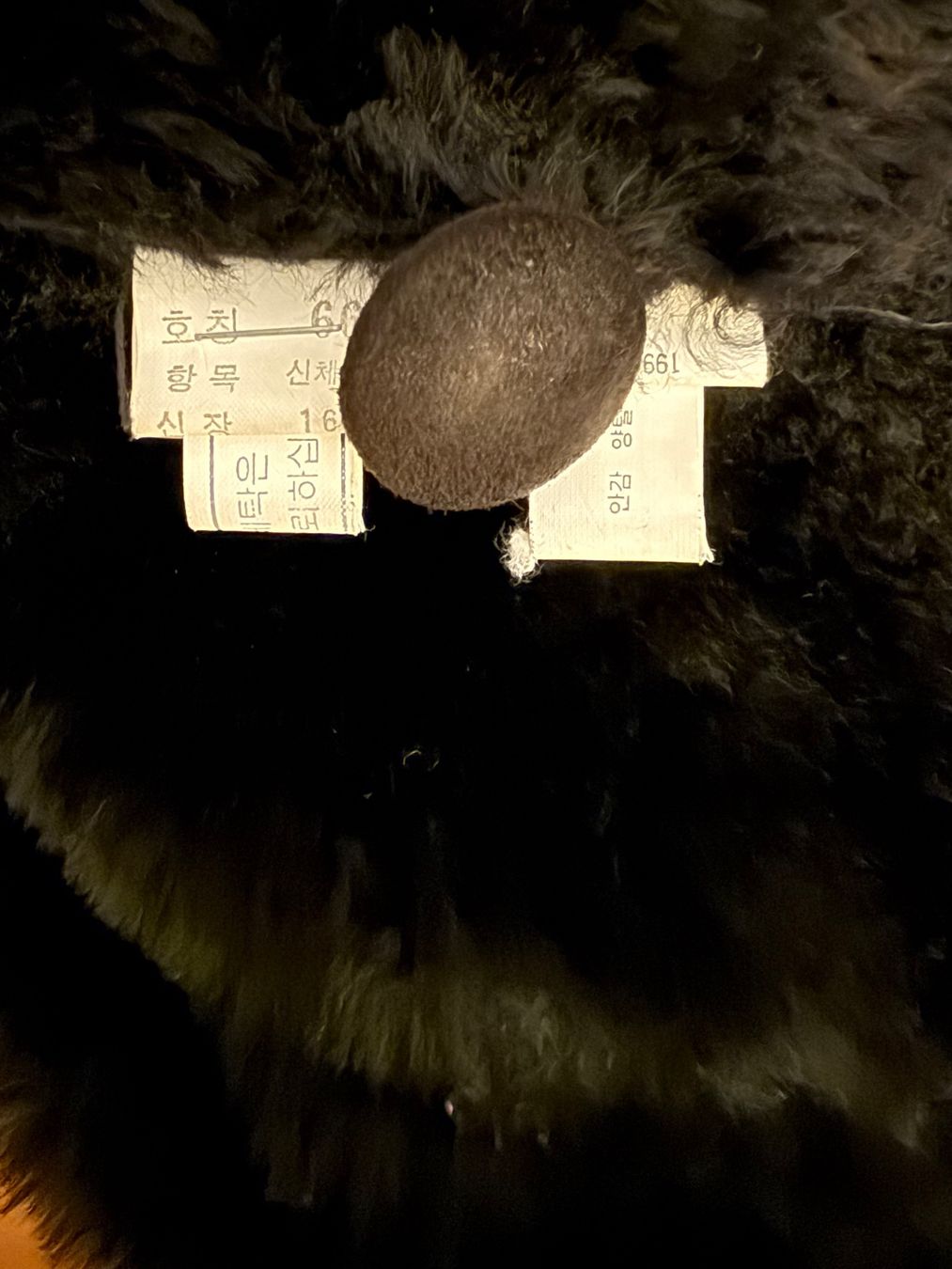 Giacche: LEDER WINTERJACKE – Usato da Zürich venduto da flo_7cvq 2