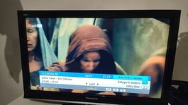 32 Zoll LCD TV Panasonic 100Hz