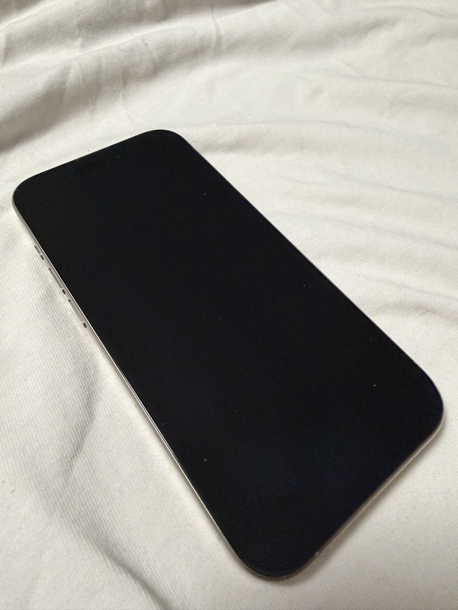 Apple Telefoni cellulari / Smartphones: iPhone 15 Pro Max 256GB – Usato da Biel/Bienne venduto da Besif90