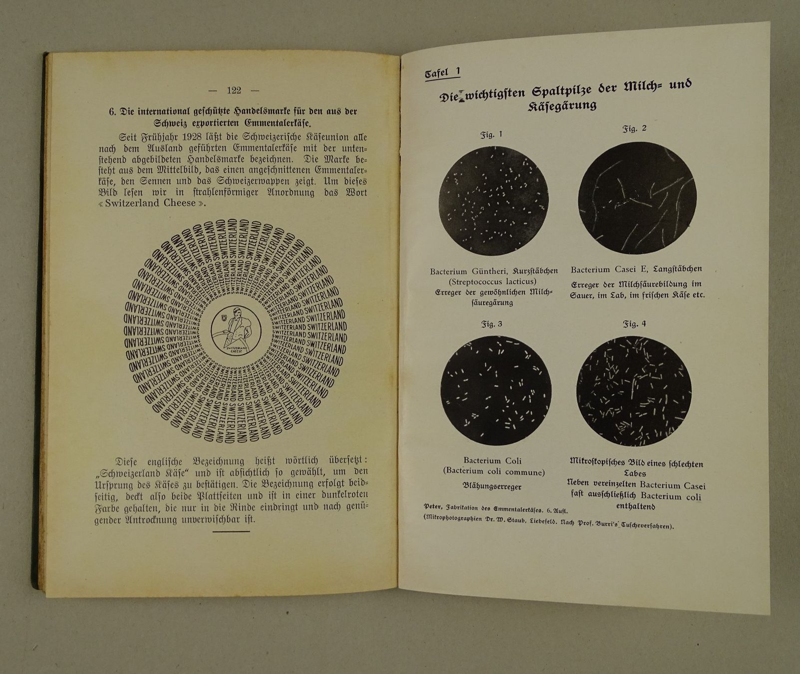 Libri: FABRIKATION UND BEHANDLUNG DES EMMENTALERKÄSES – Usato da Grüningen venduto da Kartensammler 3