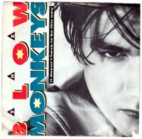 THE BLOW MONKEYS