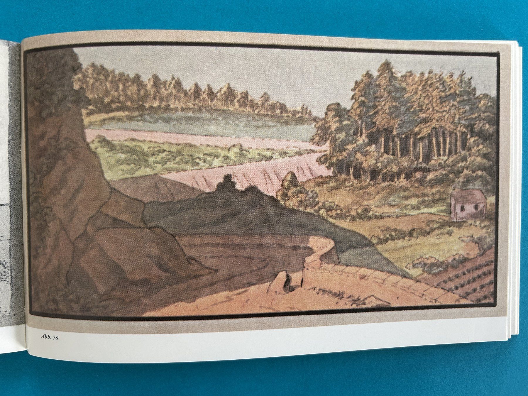 Libri: GOETHES TROST-BÜCHLEIN – Usato da Zürich venduto da Domus09 6