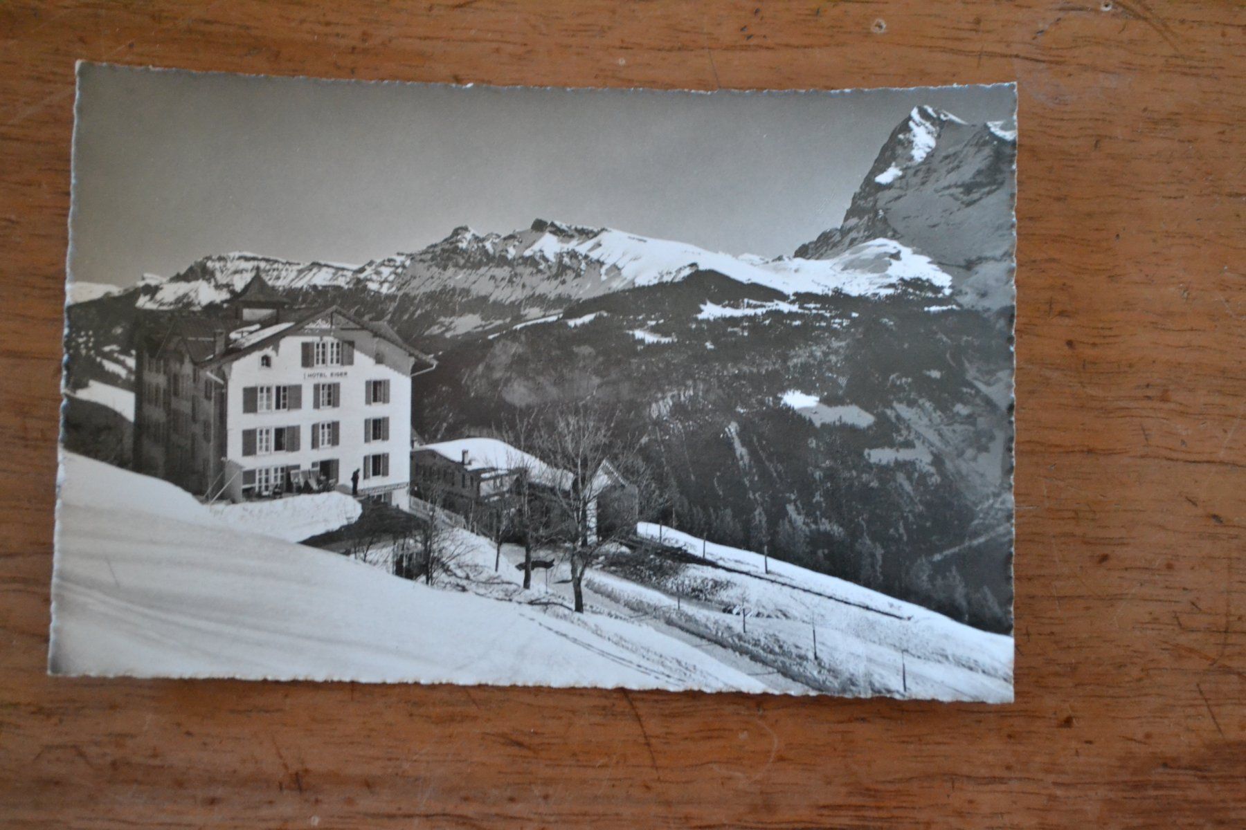 Ansichtskarten: AK Mürren Hotel Eiger BE – Gebraucht aus Beinwil am See von kajak55