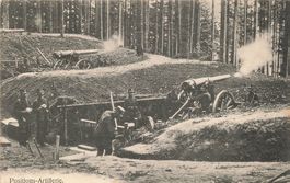 Schweiz Militär Positionsartillerie Geschütze