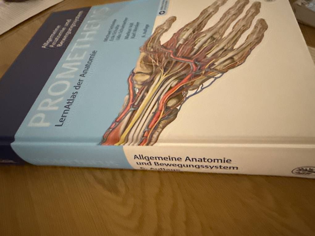 Libri: Prometheus Lernatlas der Anatomie, 6. Auflage – Usato da Grellingen venduto da lyd_vy9s 2